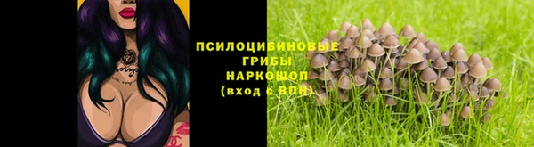 гидра Дмитровск