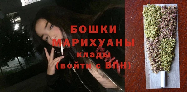 прущие грибы Краснотурьинск