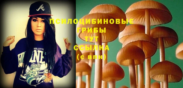 круглые Дмитриев